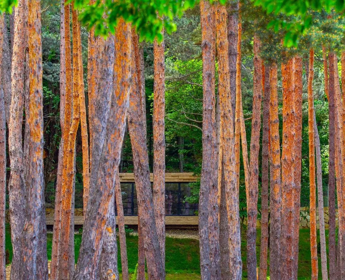 *****  Bioli Wellness Resort Kojori Georgia