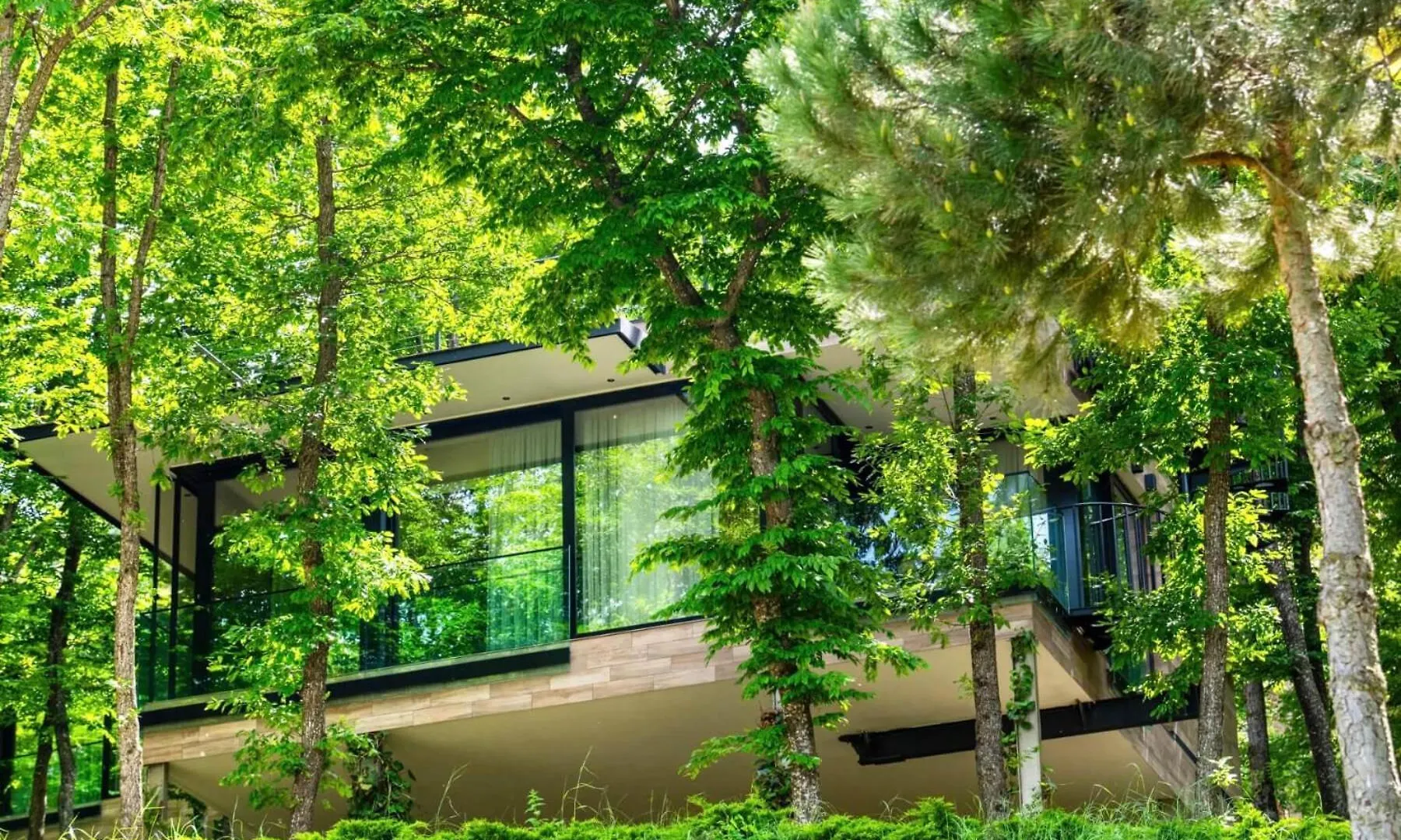 Bioli Wellness Resort Kojori