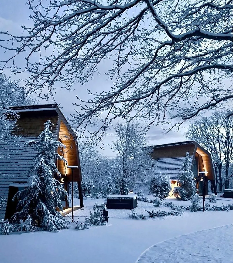Bioli Wellness Resort Kojori 5*,  Georgia