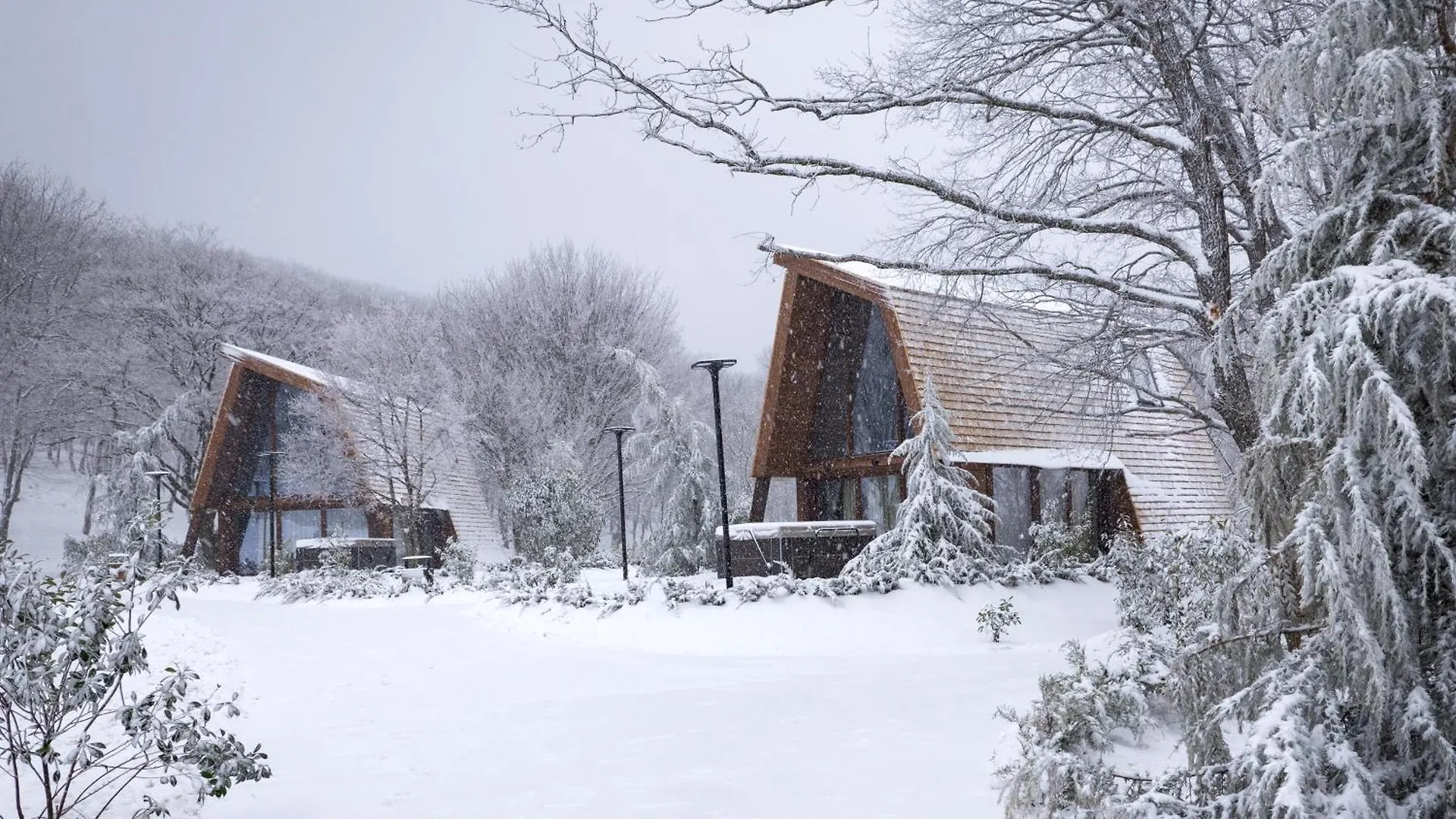 Bioli Wellness Resort Kojori 5*,  Georgia